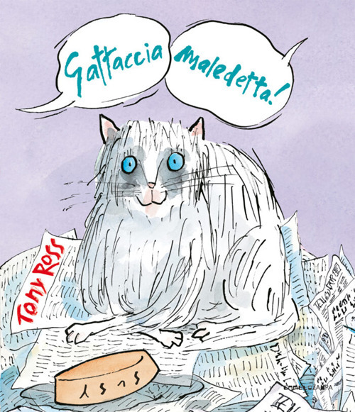 Foto non presente