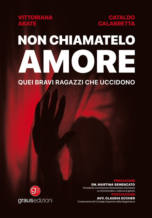Non chiamatelo amore. Quei bravi ragazzi che uccidono
