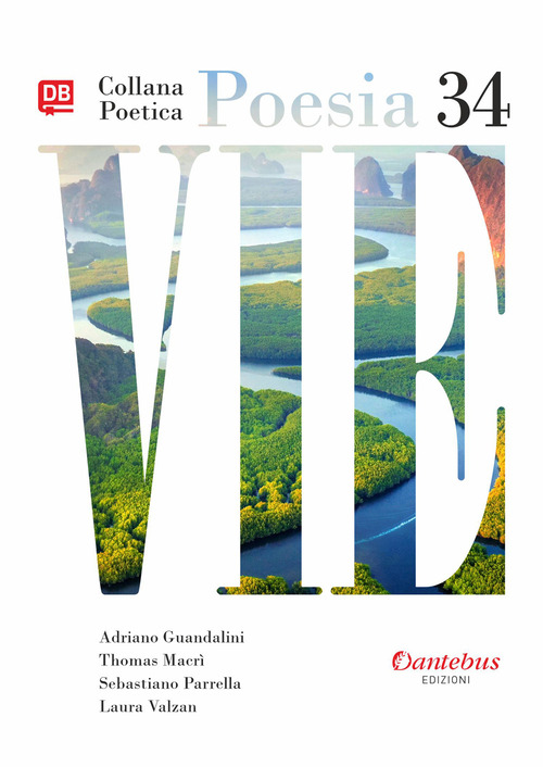 Vie. Collana poetica. Volume Vol. 34