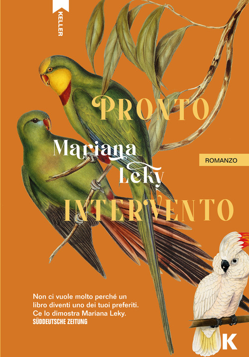Pronto intervento