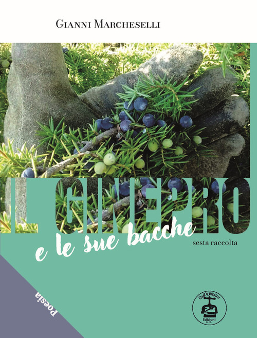 Il ginepro e le sue bacche