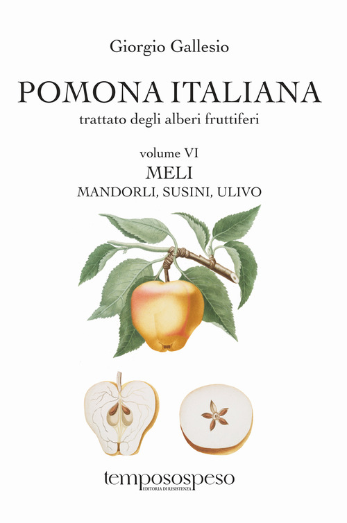 Pomona italiana ossia Trattato degli alberi fruttiferi. Volume Vol. 6