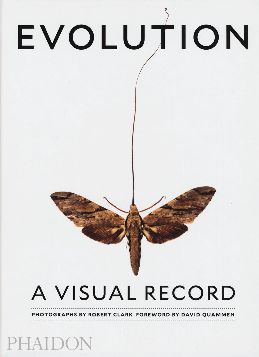 Evolution. A visual record. Ediz. a colori
