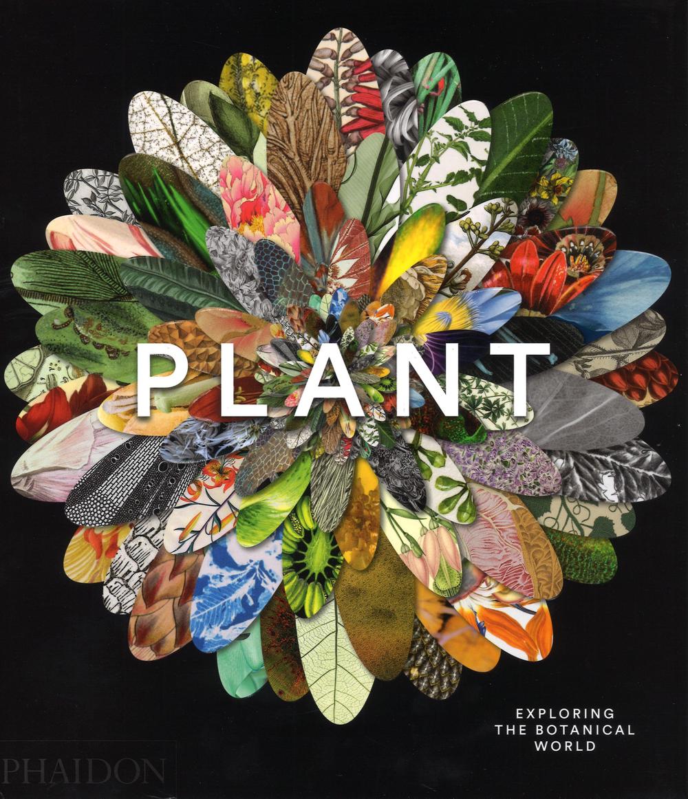 Plant exploring the botanical world. Ediz. illustrata