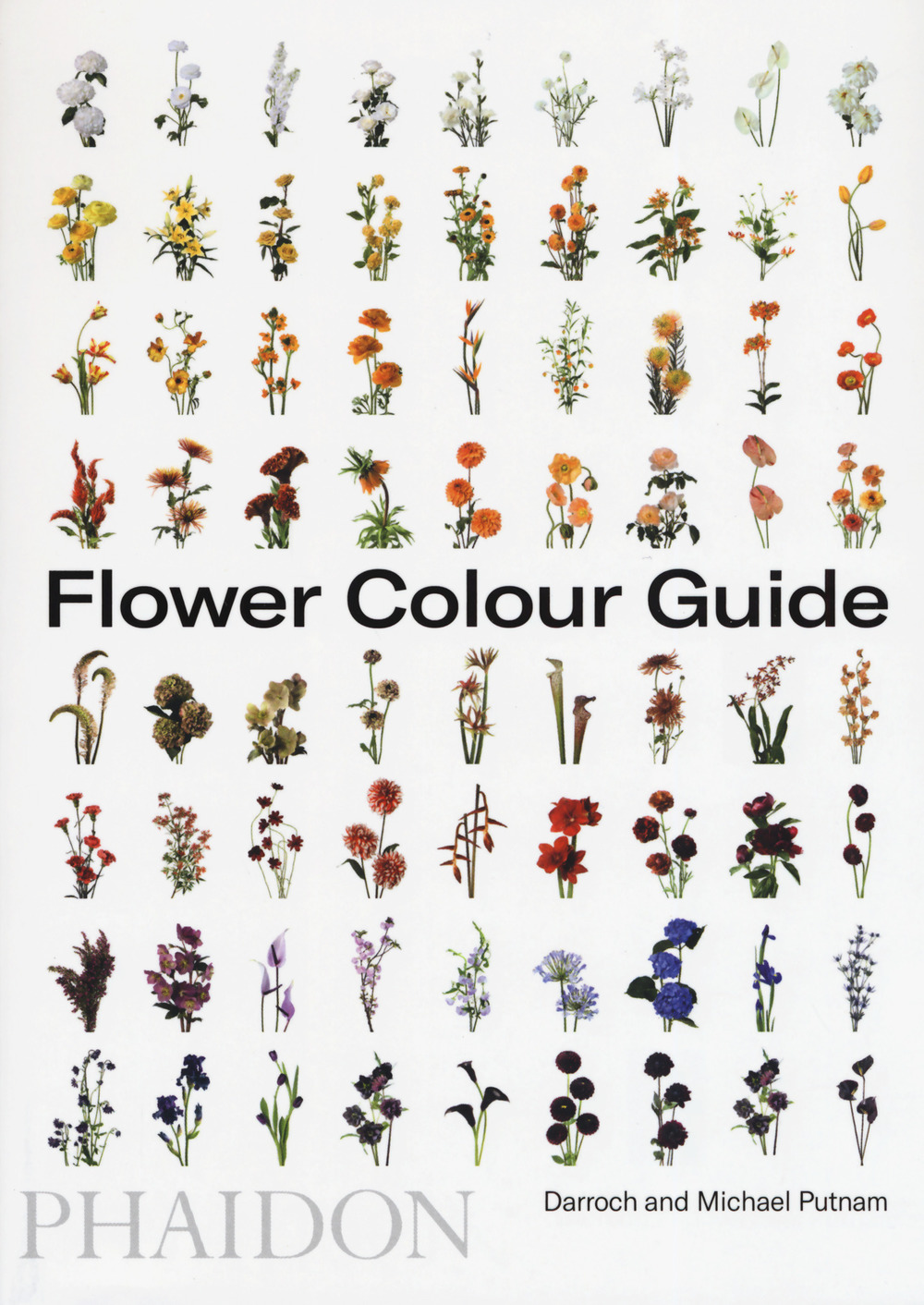 Flower color guide. Ediz. illustrata