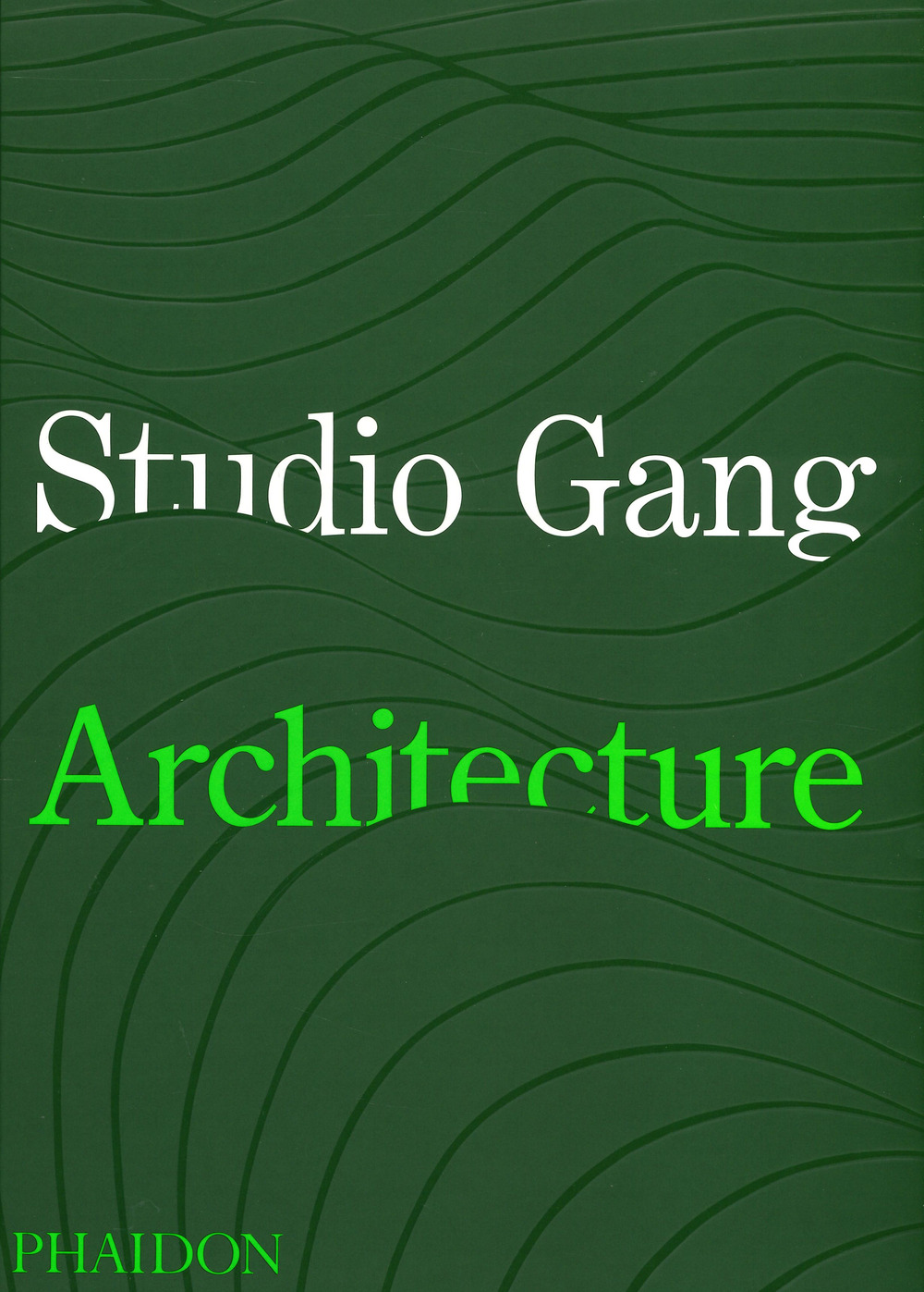 Studio Gang. Ediz. a colori