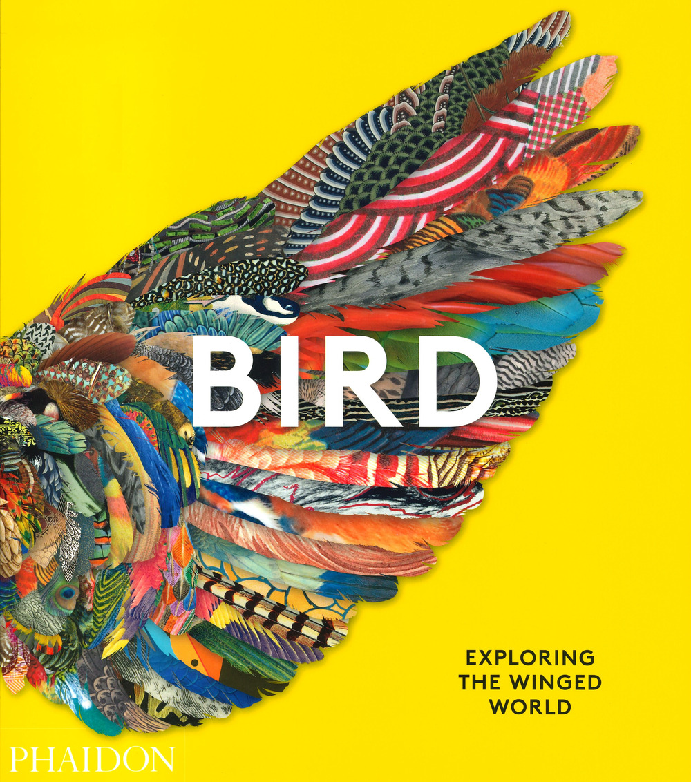 Bird. Ediz. a colori