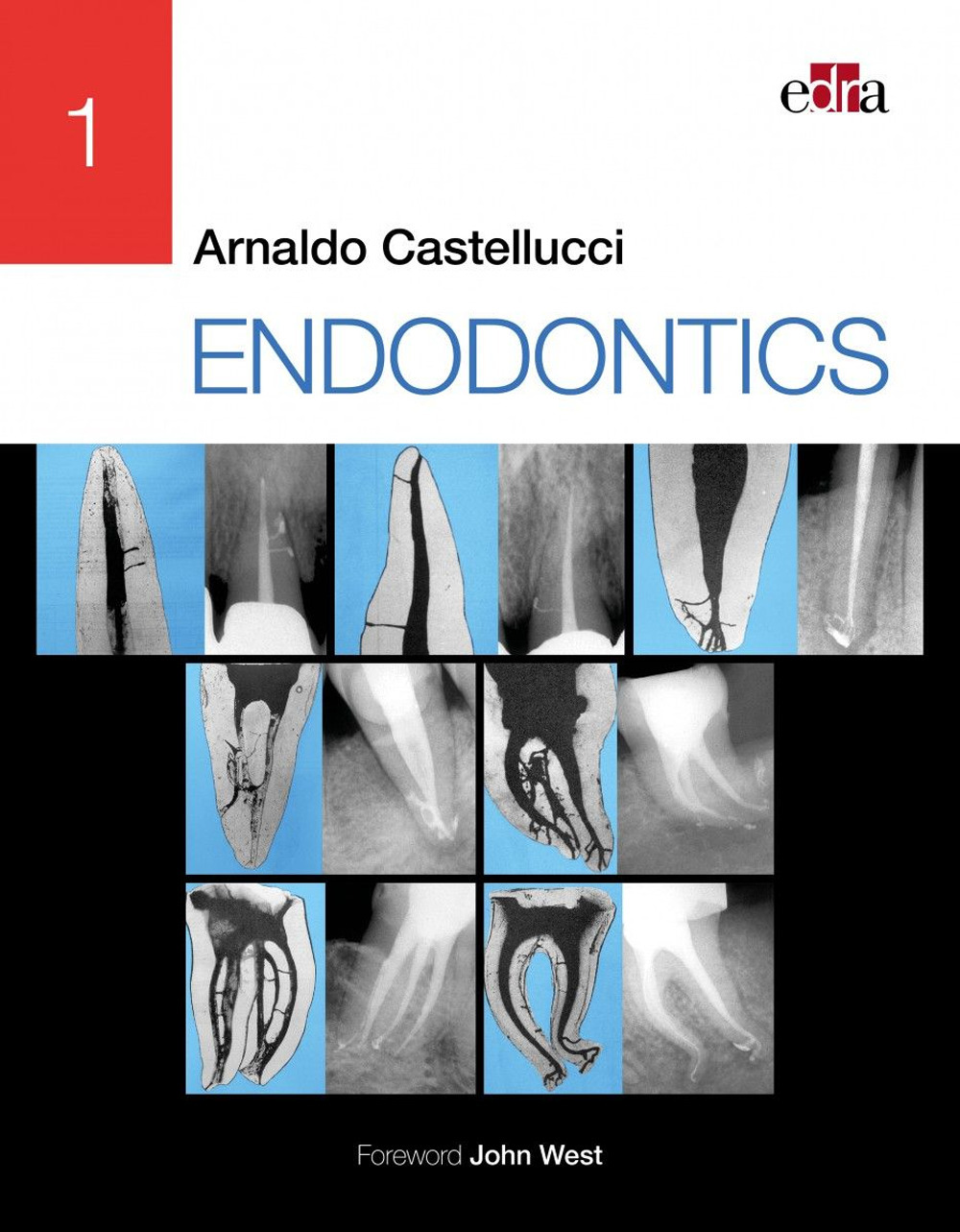 Endodontics. Vol. 1