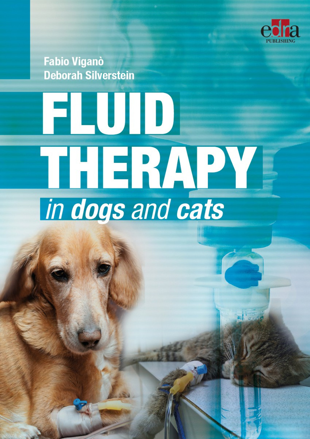 Fluid therapy in dogs and cats