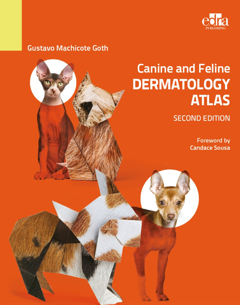 Canine and feline dermatology Atlas