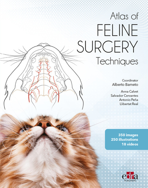 Atlas of feline surgery techniques. Con DVD video