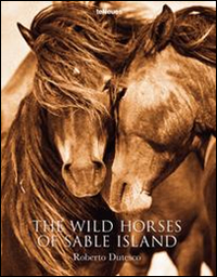 The wild horses of sable islands. Ediz. illustrata