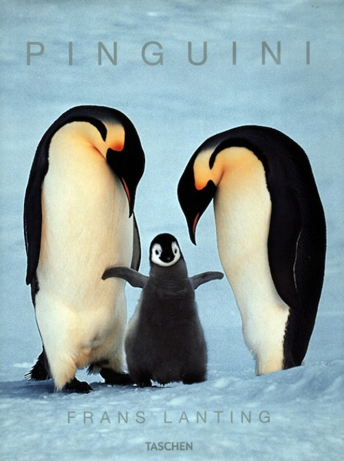 I pinguini. Ediz. illustrata