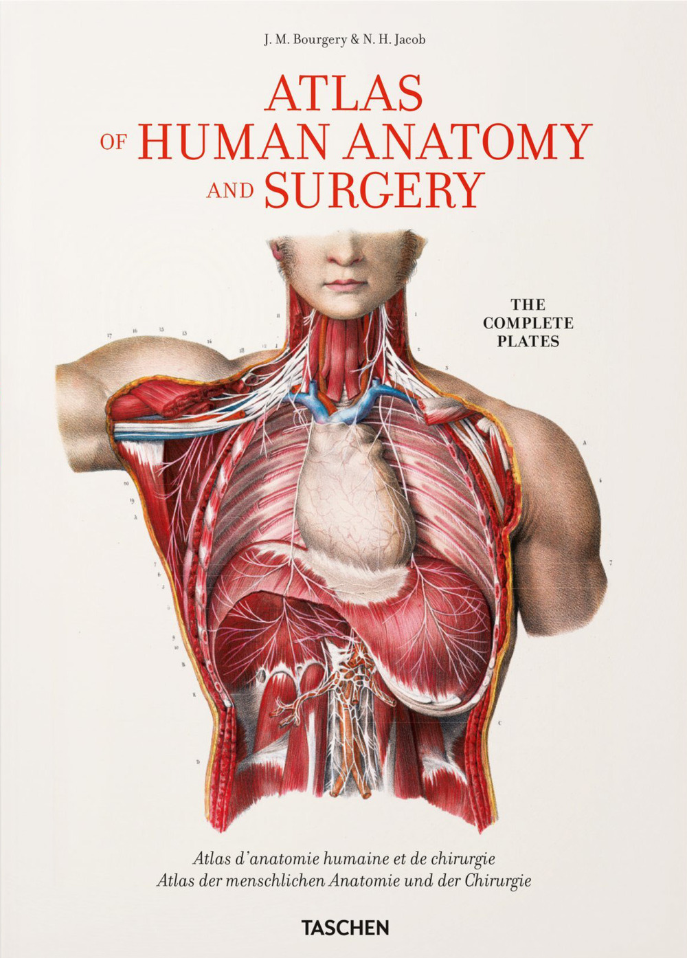 Atlas of human anatomy and surgery. Ediz. italiana, portoghese e spagnola