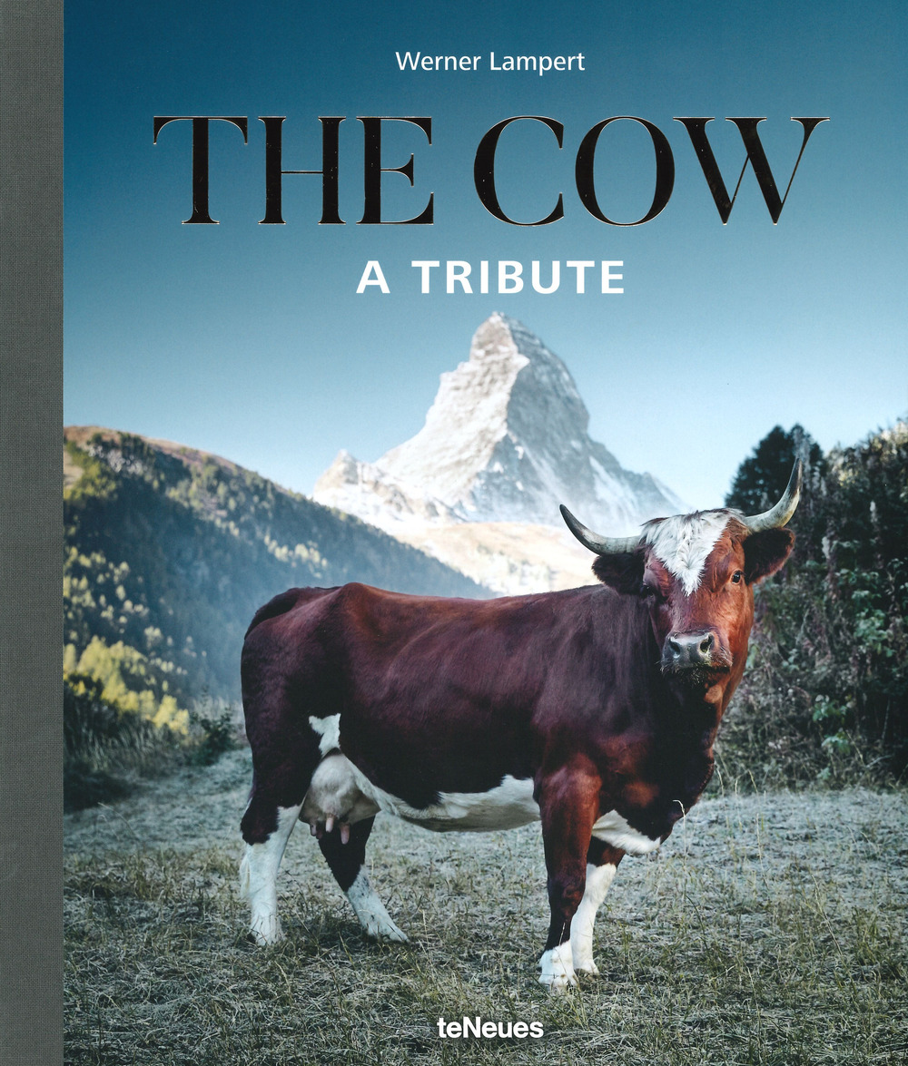 The cow. A tribute. Ediz. a colori