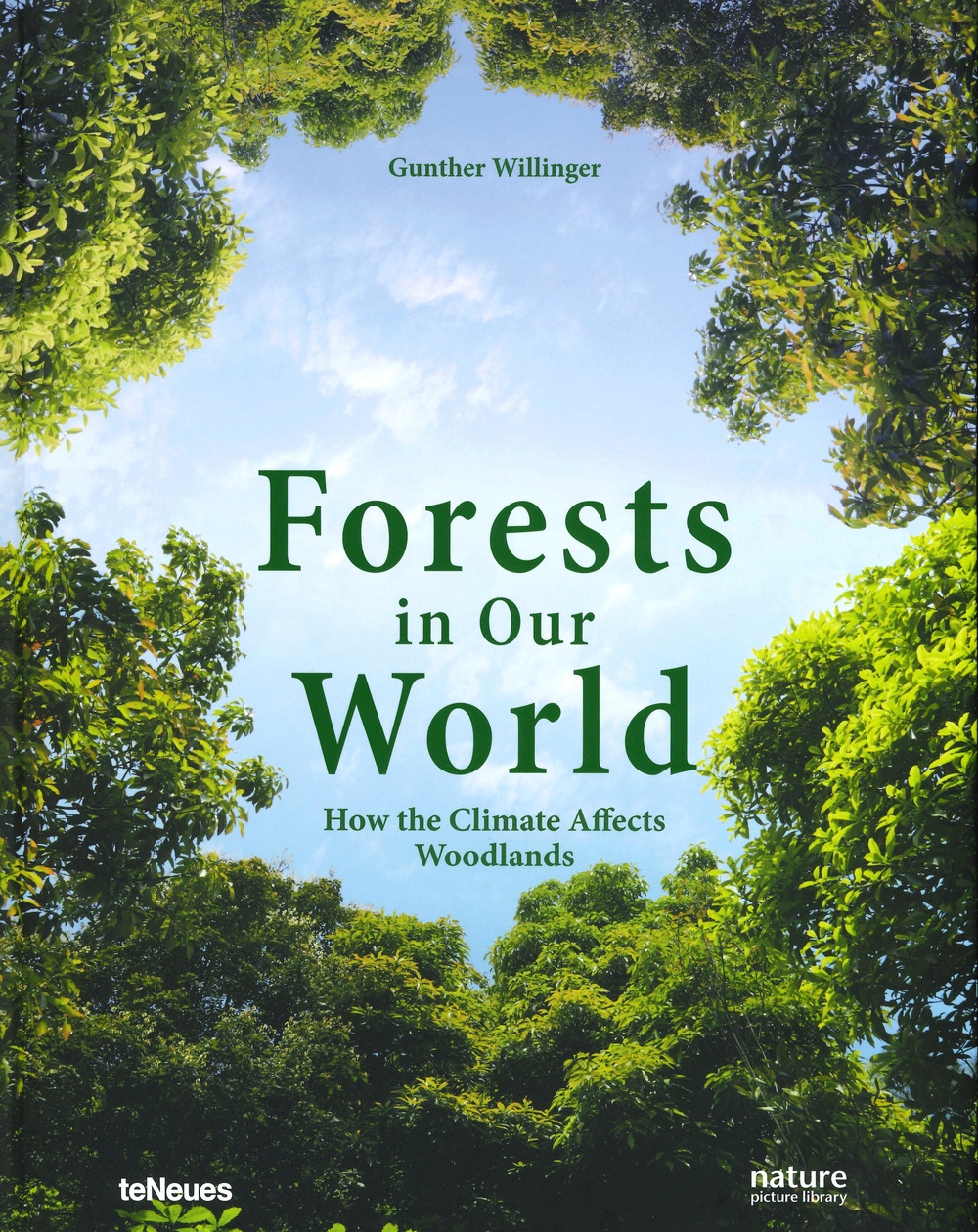 Forests in our world. How the climate affects woodlands. Ediz. a colori