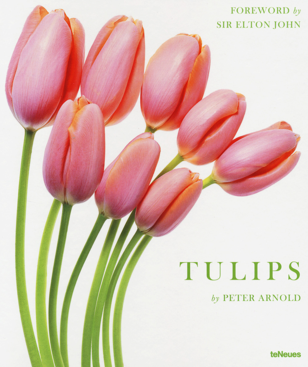 Tulips. Ediz. a colori