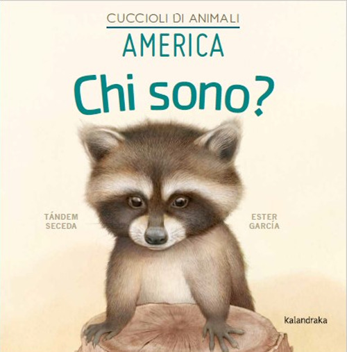 America. Chi sono? Cuccioli di animali. Ediz. illustrata