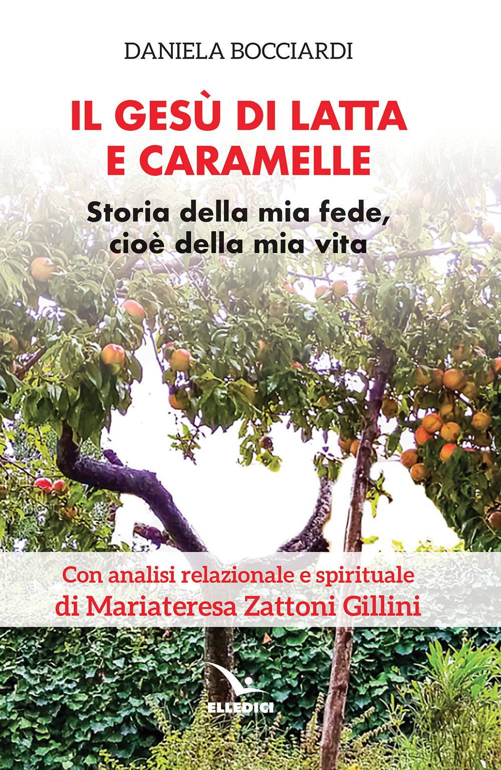 Il Gesù di latta e caramelle. Storia della mia fede, cioè della mia vita