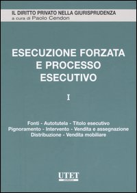 L'Esecuzione forzata e processo esecutivo