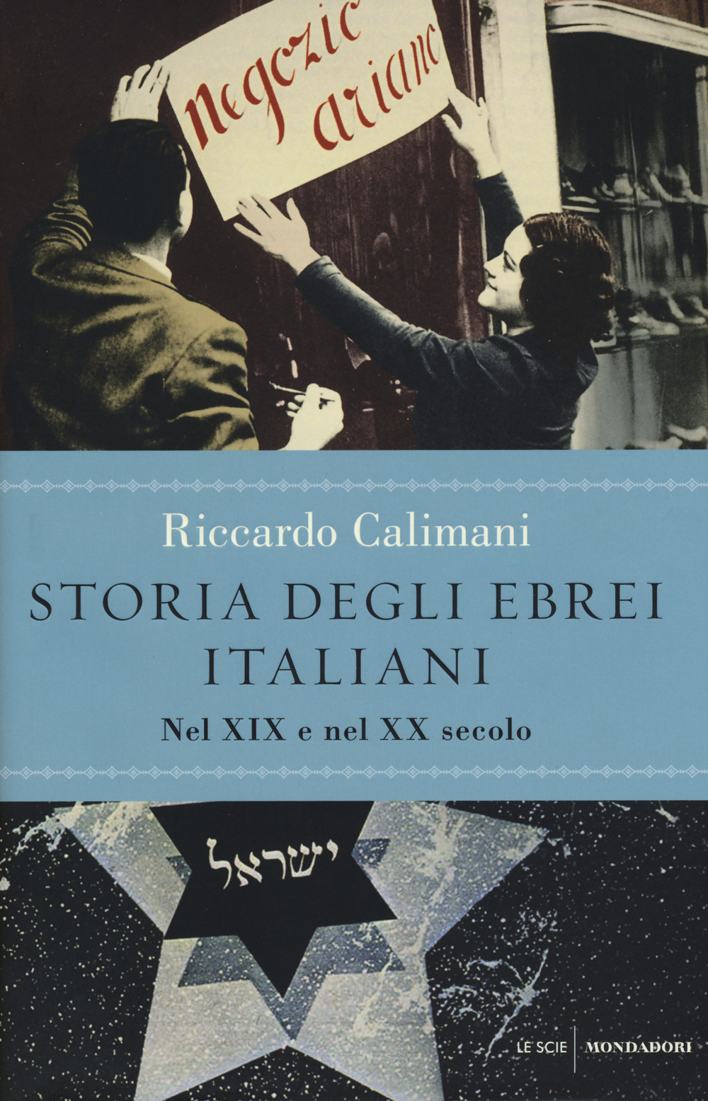 Storia degli ebrei italiani. Vol. 3: Nel XIX e nel XX secolo