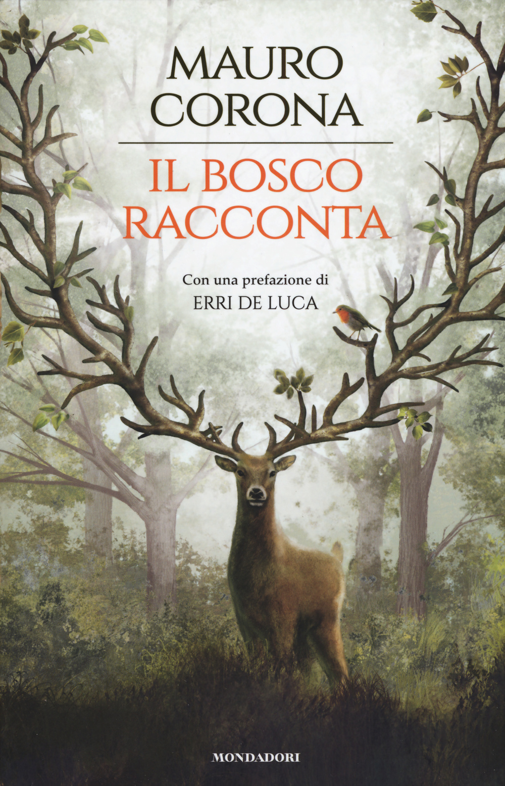 Il bosco racconta: Storie del bosco antico-Torneranno le quattro stagioni