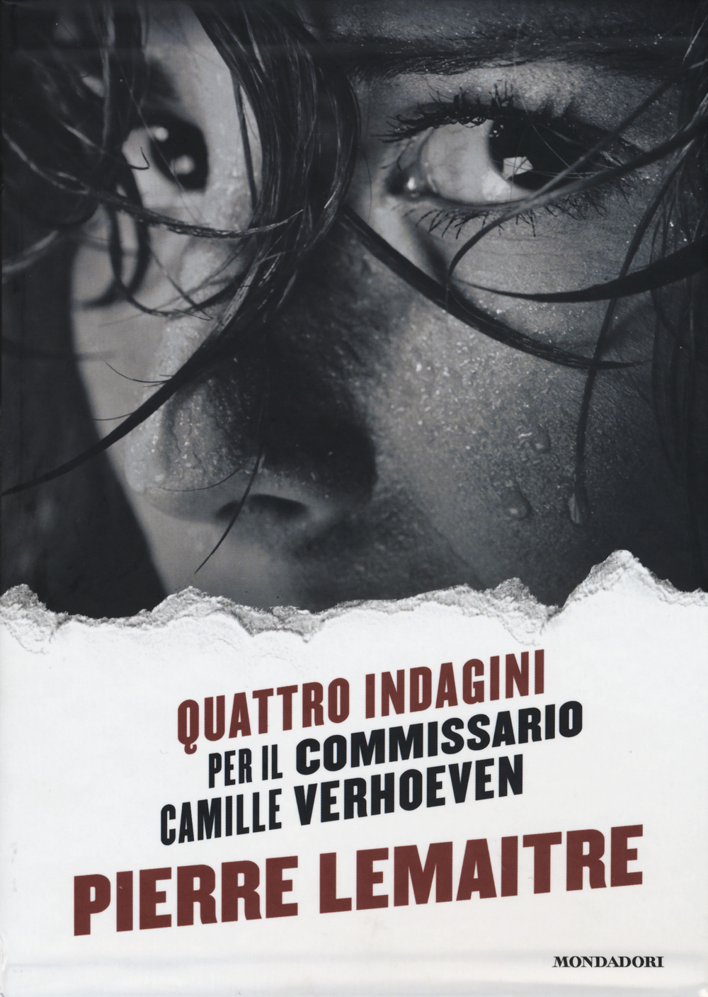 Quattro indagini per il Commissario Camille Verhoeven: Irène-Alex-Camille-Rosy & John