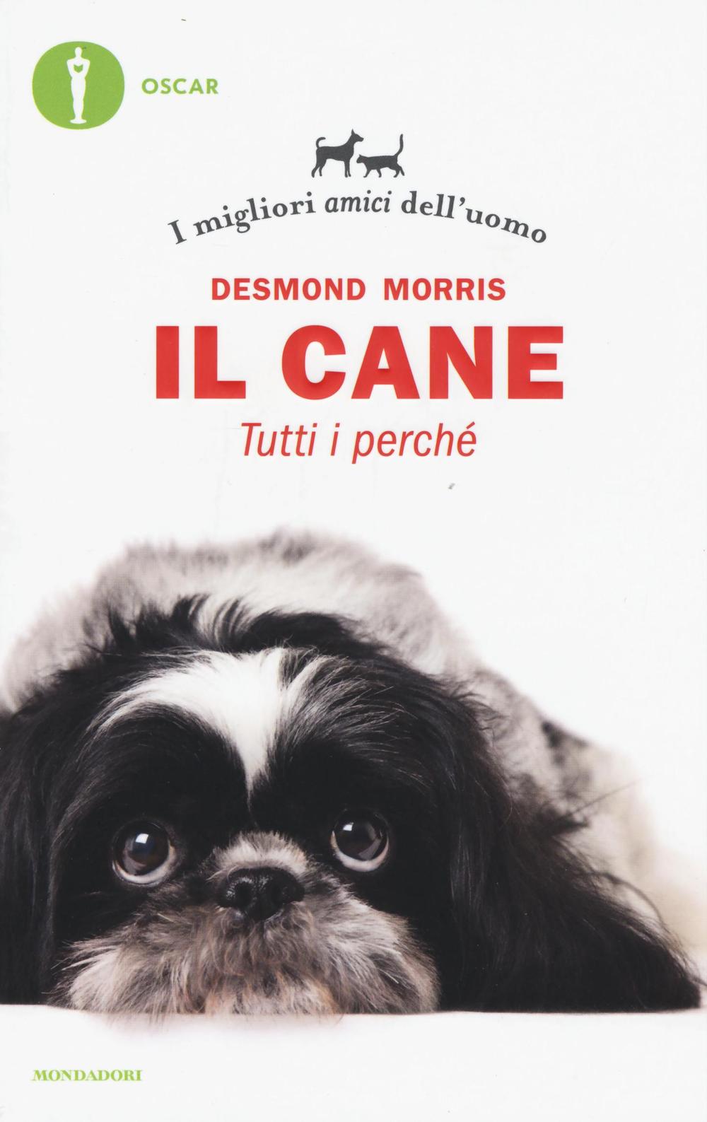 Il cane. Tutti i perché. I migliori amici dell'uomo