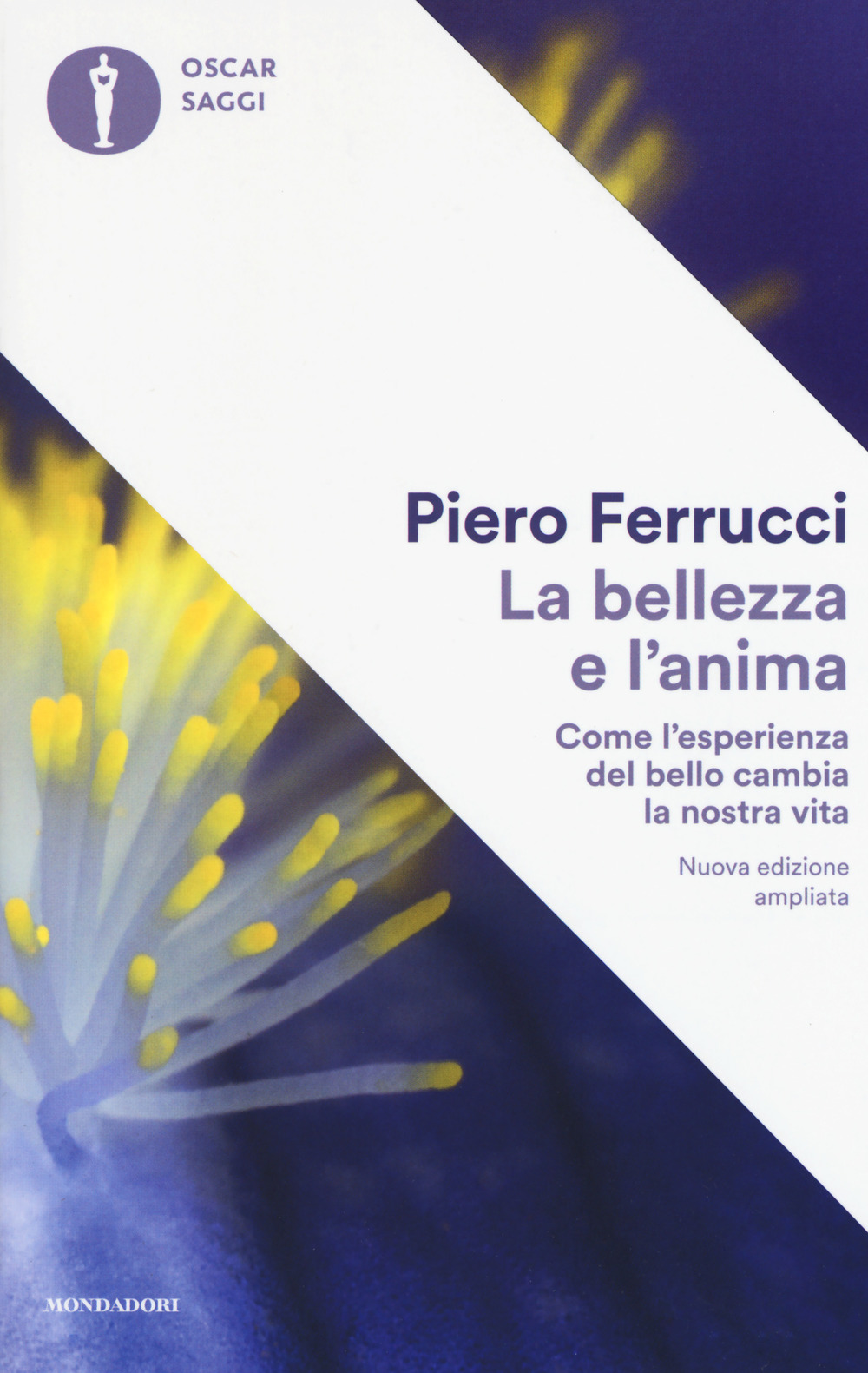 La bellezza e l'anima. Come l'esperienza del bello cambia la nostra vita. Ediz. ampliata