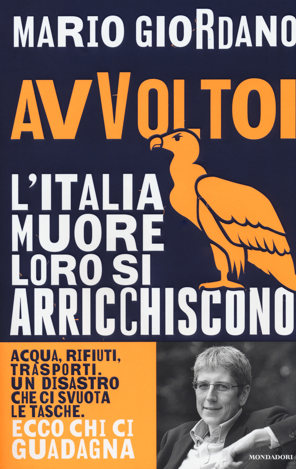 Avvoltoi. L'Italia muore loro si arricchiscono. Acqua, rifiuti, trasporti. Un disastro che ci svuota le tasche. Ecco chi ci guadagna