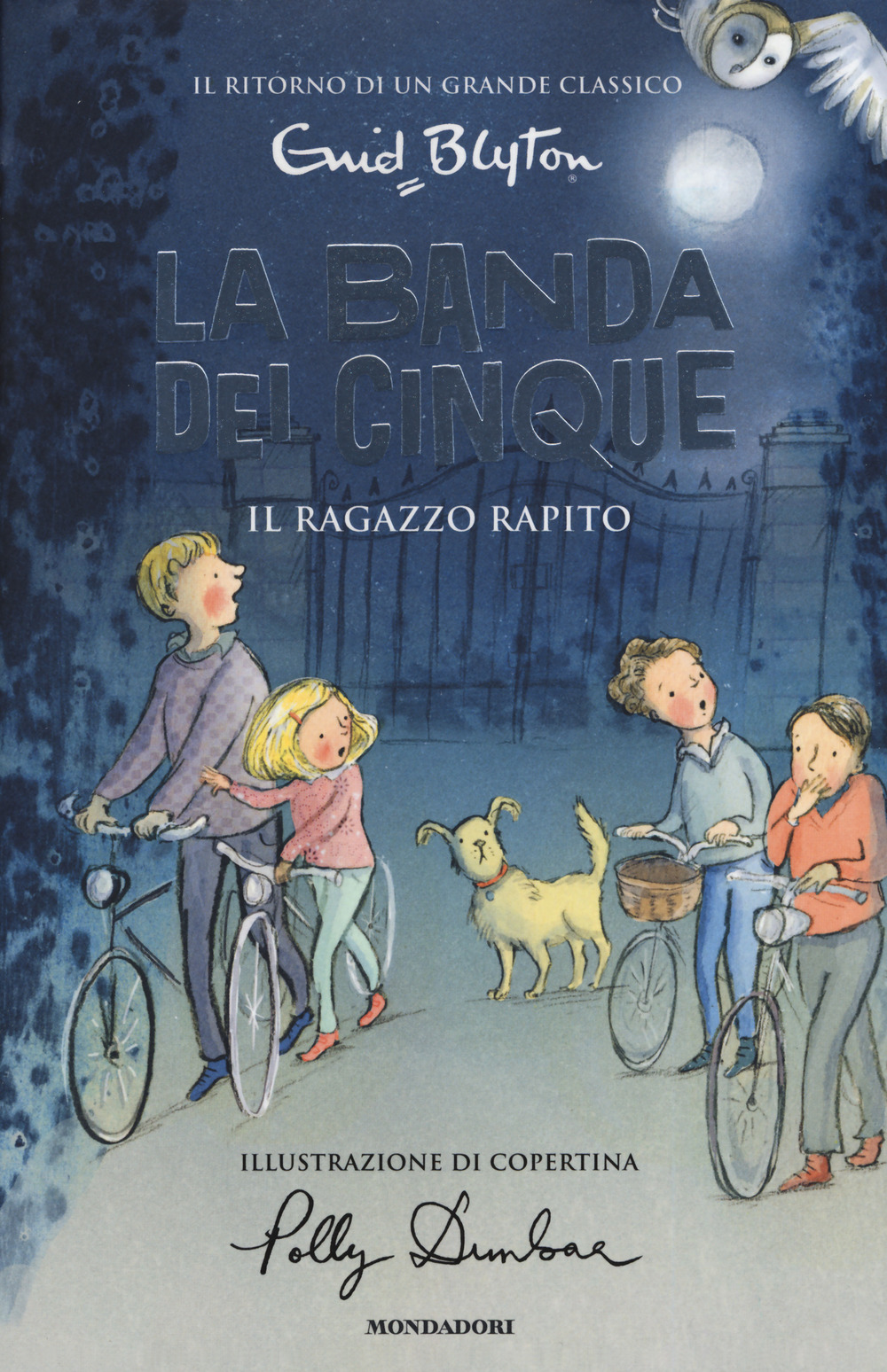 Il ragazzo rapito. La banda dei cinque. Vol. 8