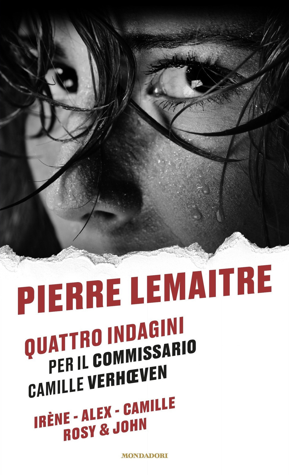 Quattro indagini per il Commissario Camille Verhoeven: Irène-Alex-Camille-Rosy & John