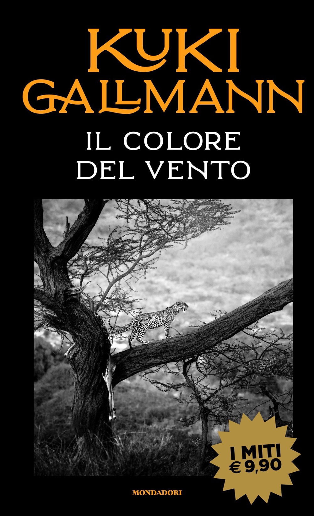 Il colore del vento