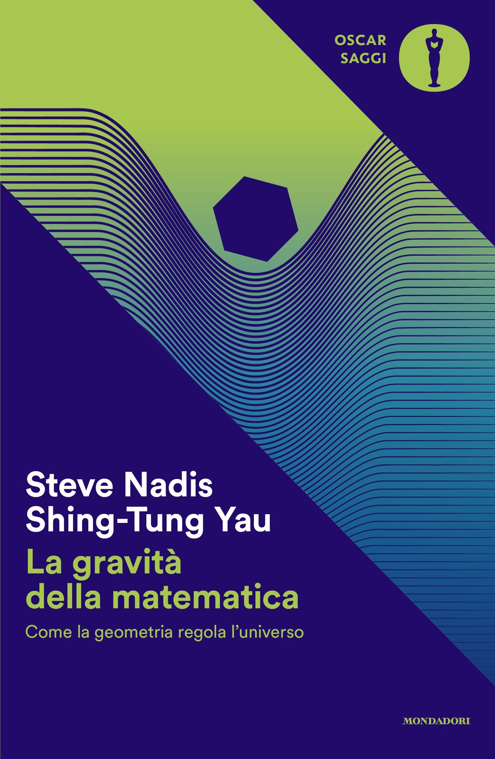 La gravità della matematica. Come la geometria regola l'universo