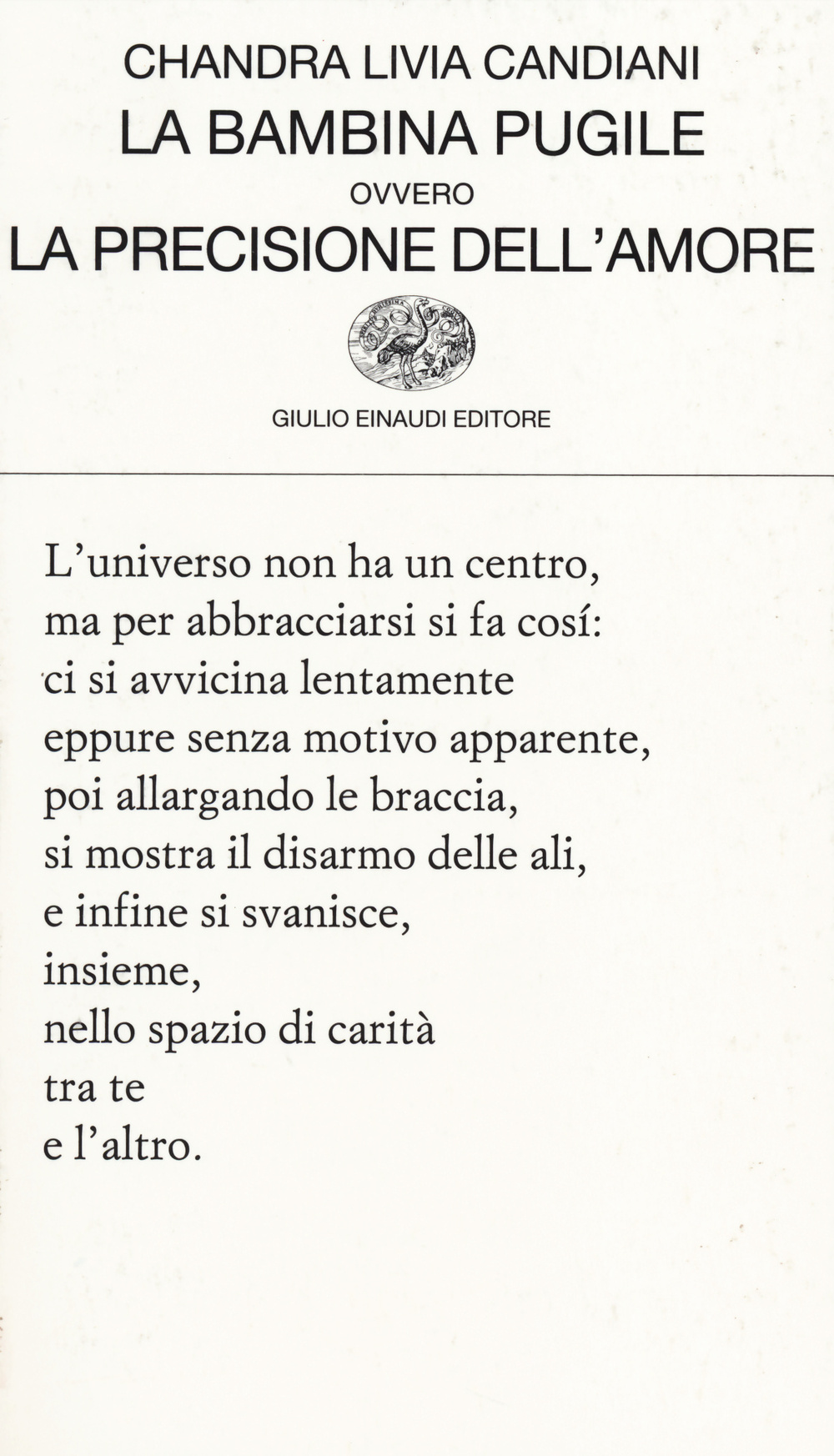 La bambina pugile ovvero La precisione dell'amore