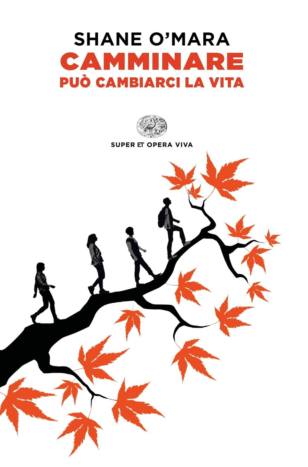 Camminare può cambiarci la vita