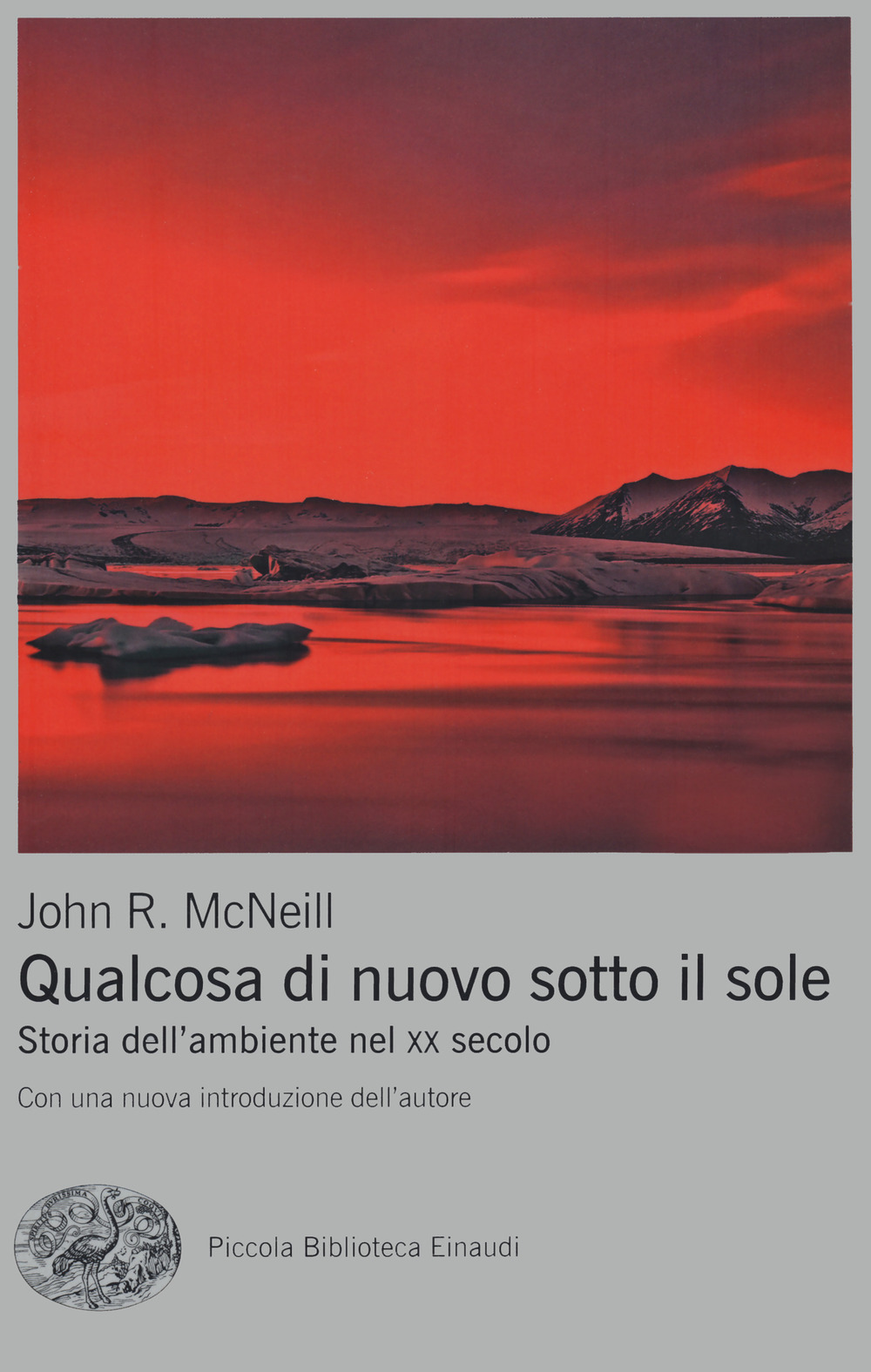 Qualcosa di nuovo sotto il sole. Storia dell'ambiente nel XX secolo