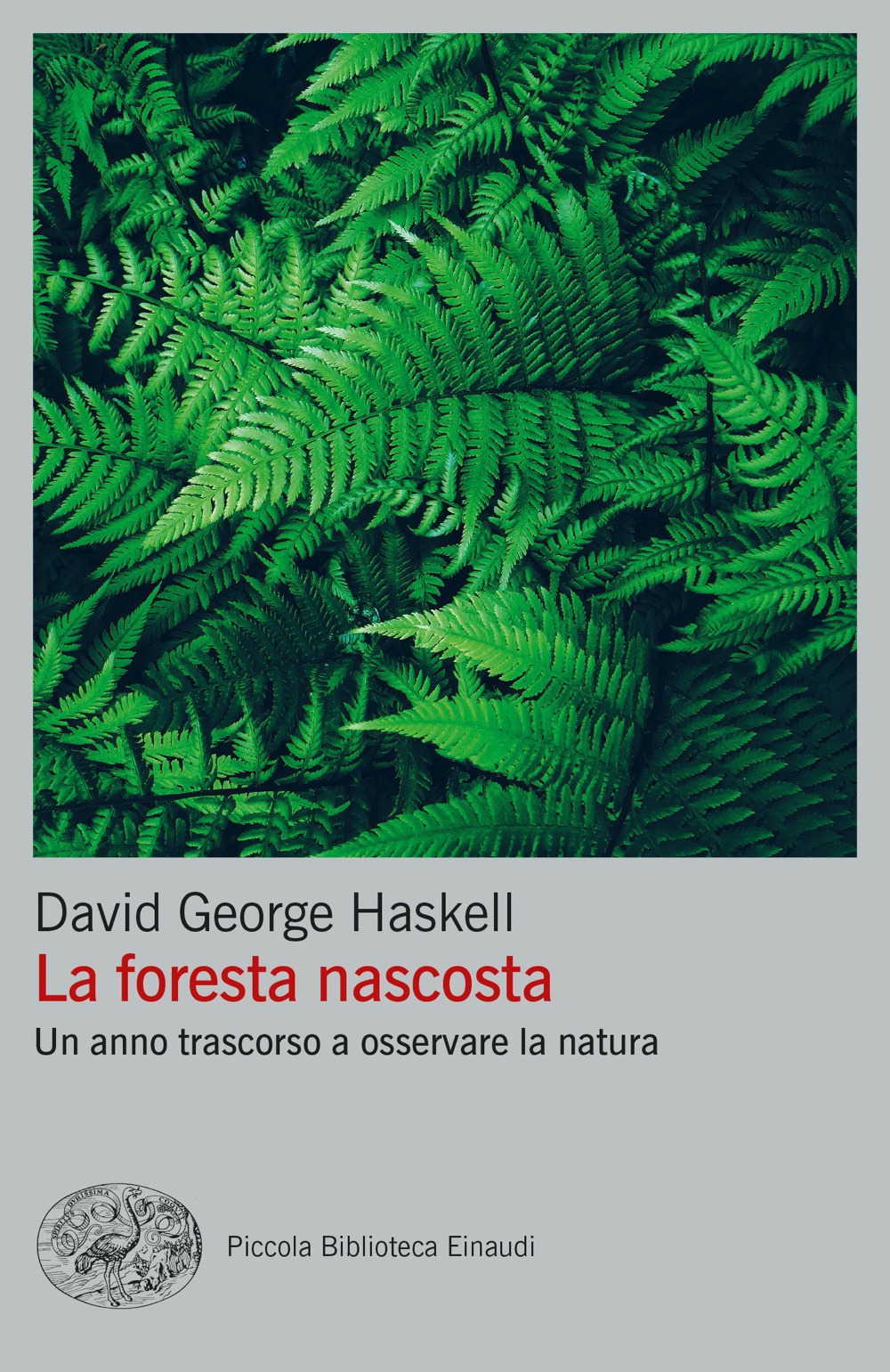 La foresta nascosta. Un anno trascorso a osservare la natura