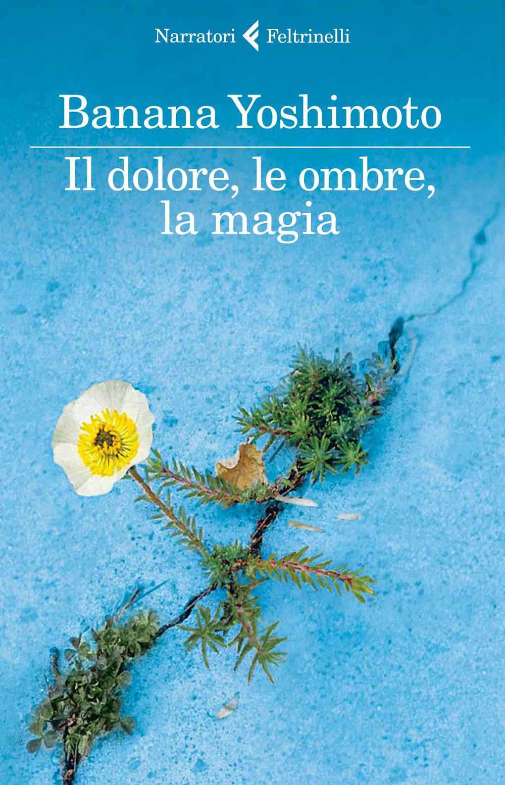 Il dolore, le ombre, la magia. Il regno. Vol. 2