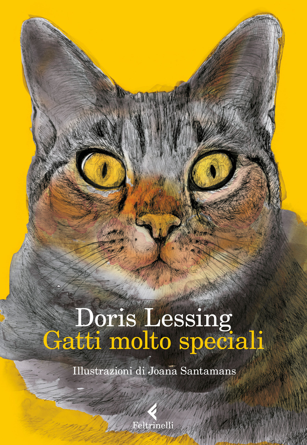 Gatti molto speciali