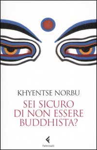 Sei sicuro di non essere buddhista?