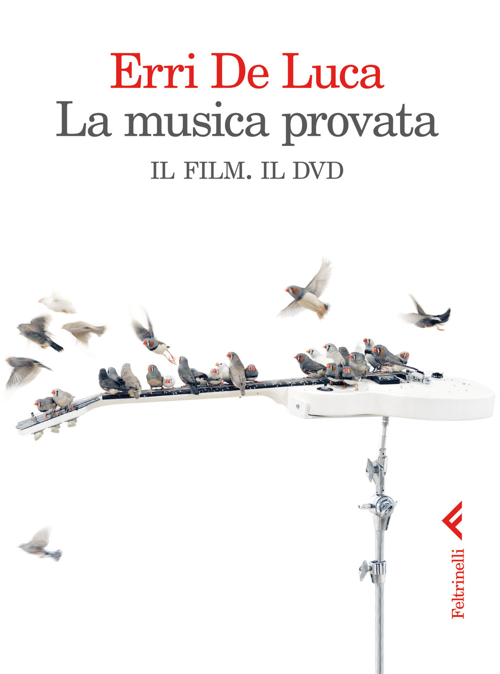 La musica provata. Il film. Il dvd. DVD