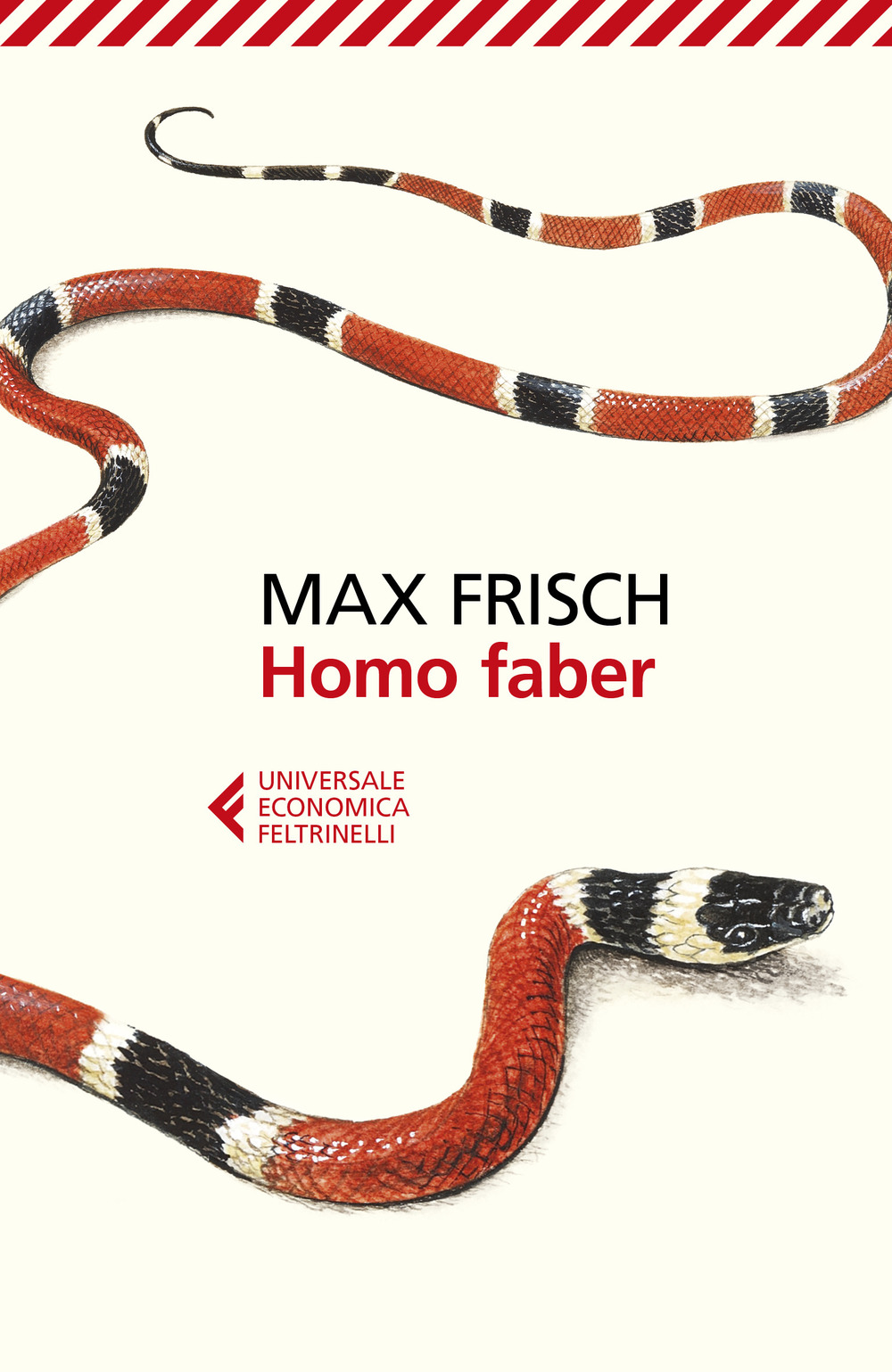 Homo faber