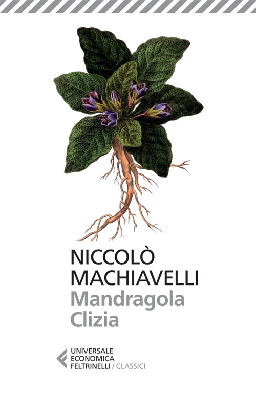 Mandragola-Clizia