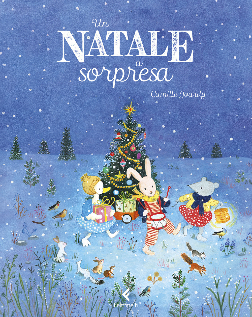 Un Natale a sorpresa. Ediz. illustrata