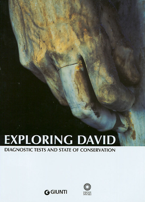 Exploring David. Diagnostic tests and state of conservation