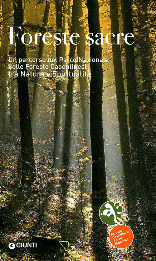 Foreste sacre. Un percorso nel Parco Nazionale delle foreste casentinesi tra natura e spiritualità