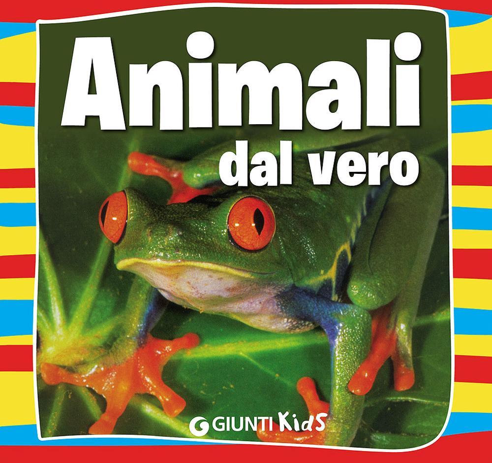 Animali dal vero