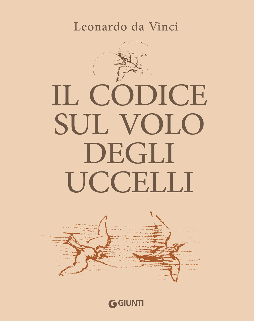 Il codice sul volo degli uccelli. Ediz. a colori