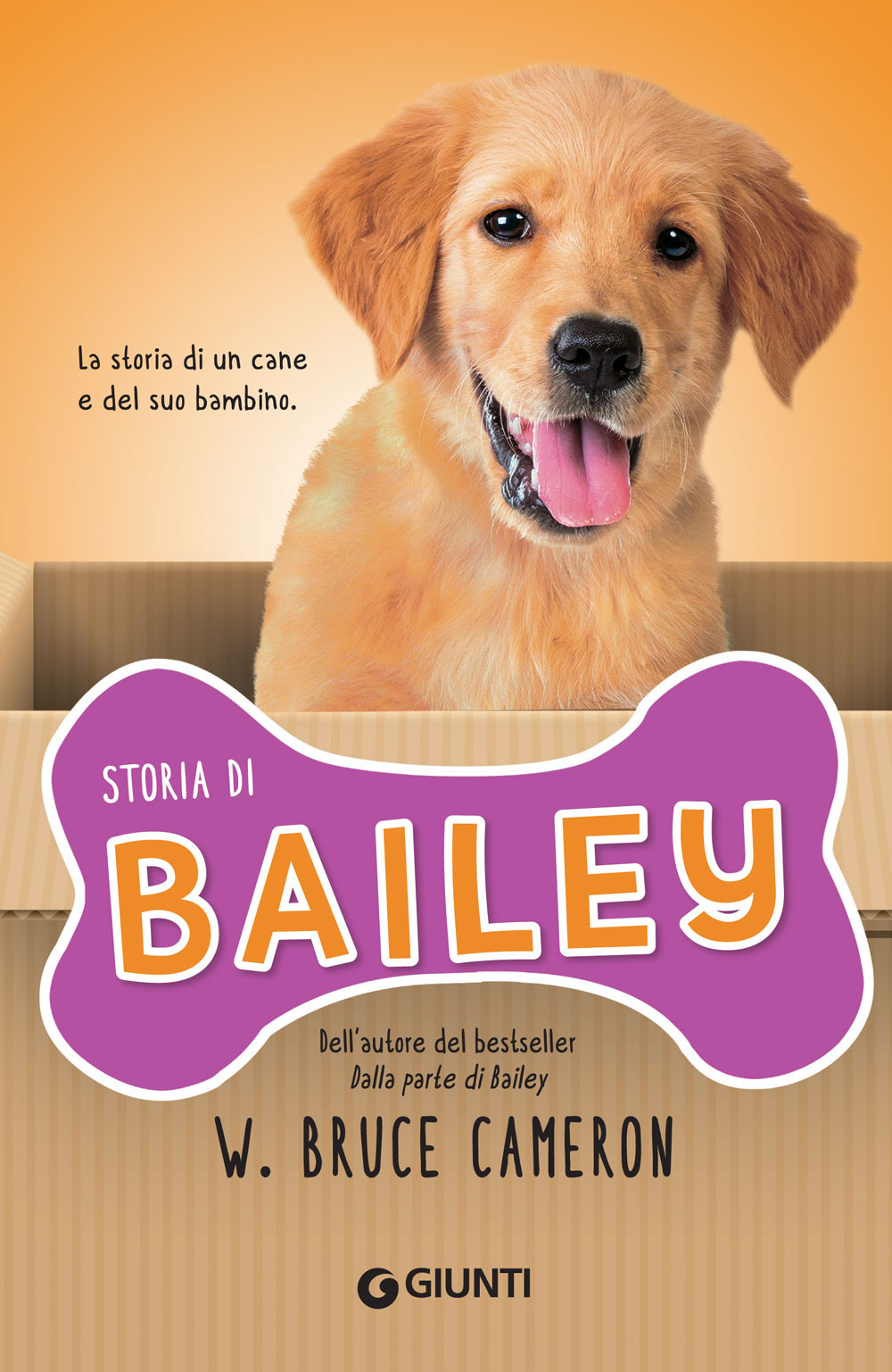 Storia di Bailey